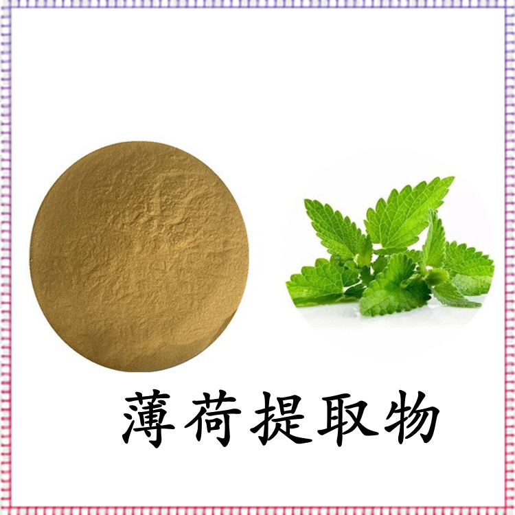 薄荷提取物 粉末流动性好 规格多种 品质优良 斯诺特生物