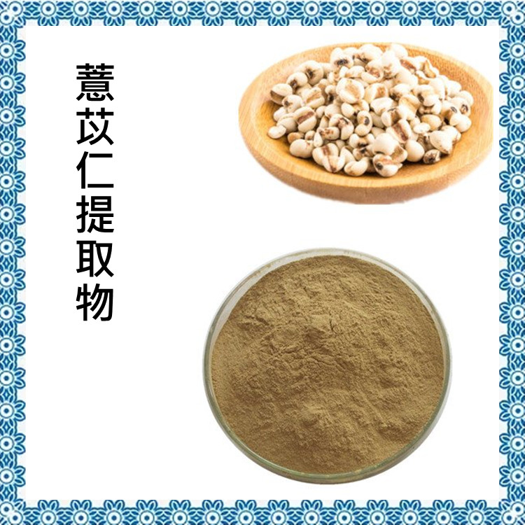 薏苡仁提取物 粉末细腻无杂质 资质齐全 长期供应 包邮
