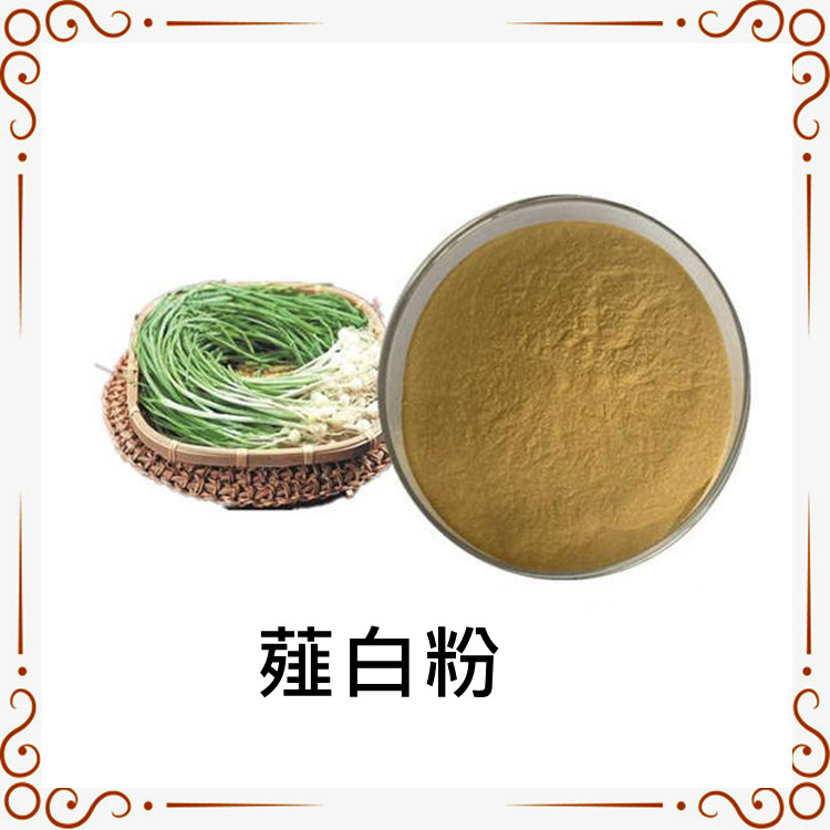 薤白粉 薤白提取物  薤白浓缩粉 斯诺特生物 厂家供应