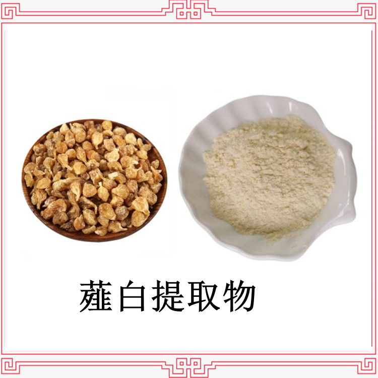 薤白提取物 精选原料 浓缩粉末 水溶性好 品质稳定