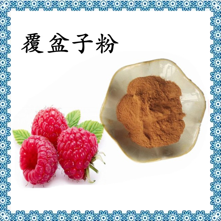 覆盆子粉 斯诺特生物 源头厂家 多种规格 长期供应