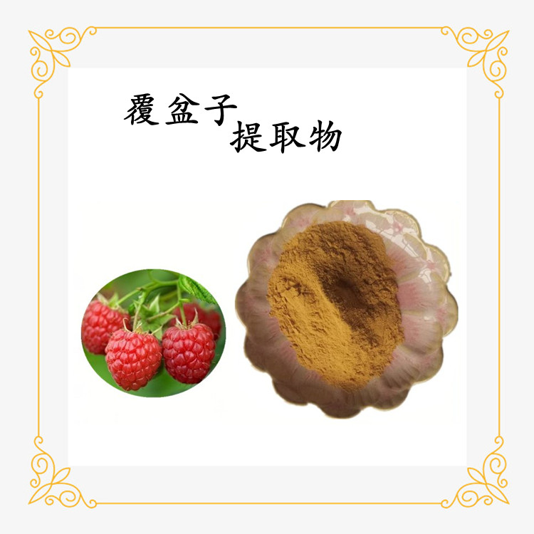 覆盆子提取物 粉质细腻 流动性好 源头供应 支持拿样