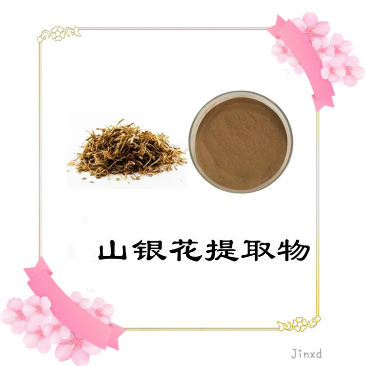 山银花提取物 水溶性好 斯诺特生物 源头供应 库存充足