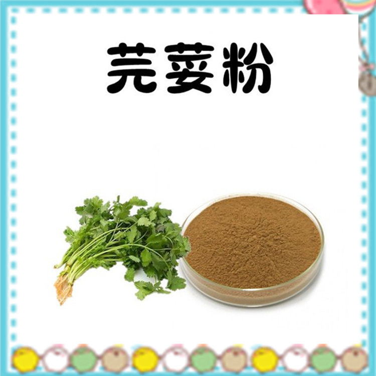 芫荽粉 新鲜原料 植物萃取 品质优良 源头厂家