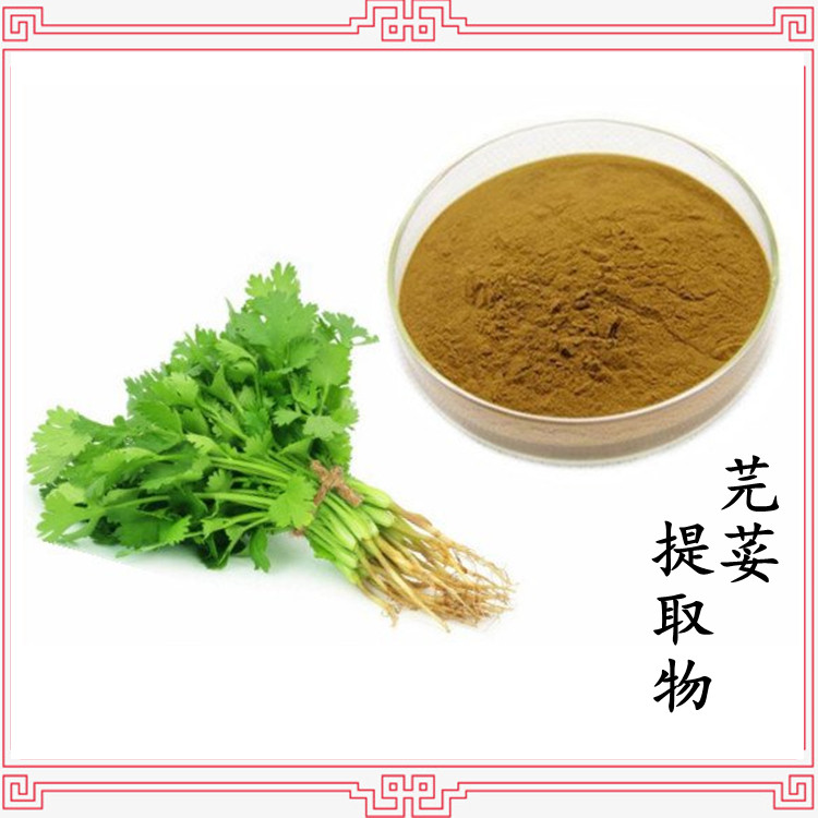 芫荽提取物 芫荽浓缩粉 斯诺特生物 随货带报告 可定制