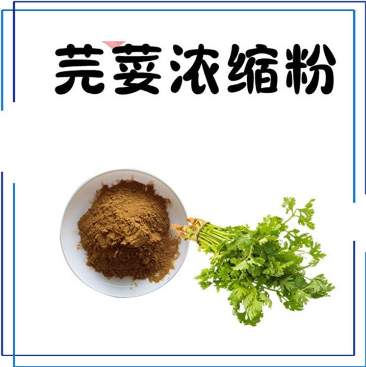 芫荽浓缩粉 新鲜原料 斯诺特生物 源头供应 支持拿样 包邮