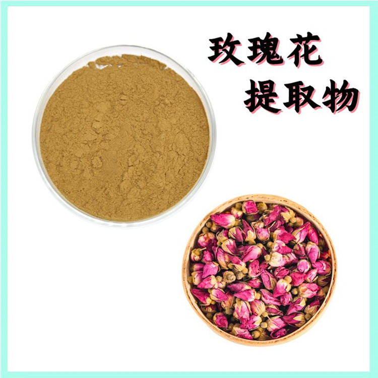 玫瑰花提取物 10:1规格 喷雾干燥工艺 斯诺特生物