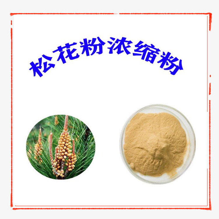 松花粉浓缩粉 喷雾干燥工艺 库存充足 品质优良 纸板桶包装