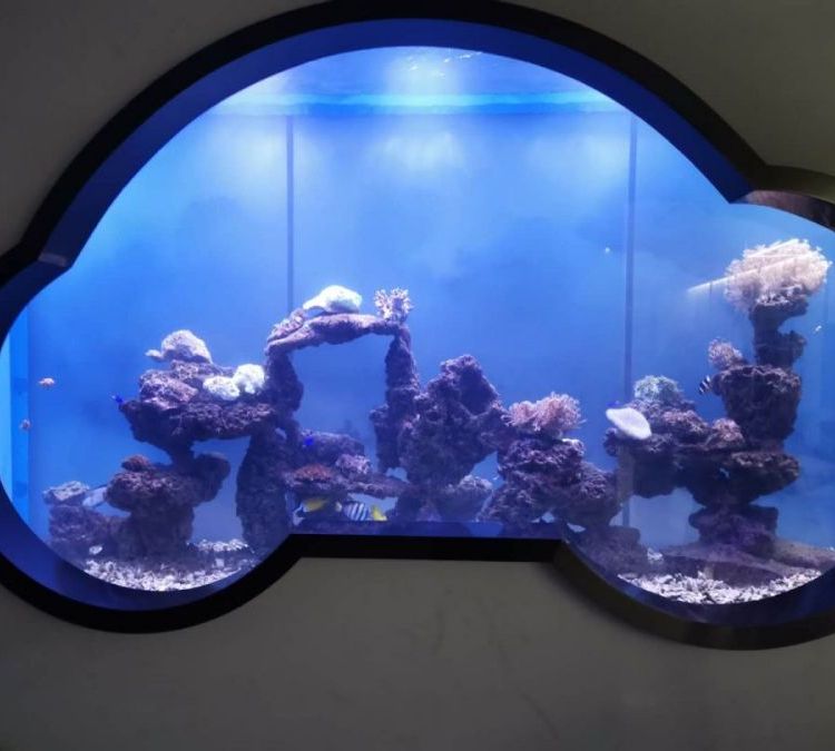 弘源 大型有机玻璃亚克力观赏鱼缸定制海水缸定做设计安装施工