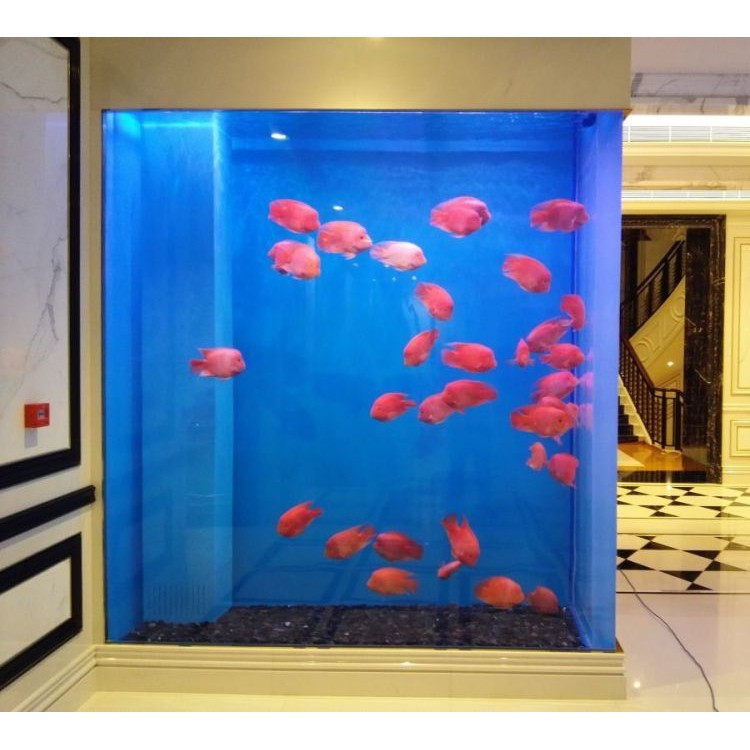 弘源 大型有机玻璃亚克力观赏鱼缸定制海水缸定做设计安装施工
