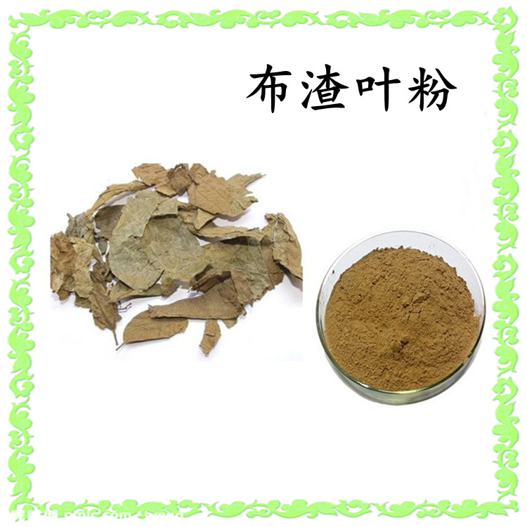 布渣叶粉 斯诺特生物 棕黄色粉末 水溶性好 品质优良