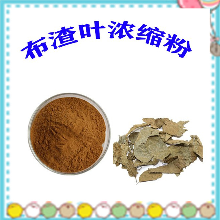 布渣叶浓缩粉 粉末细腻  斯诺特生物 多种规格  含税含运