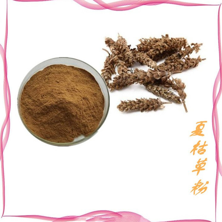 夏枯草粉 源头供应 斯诺特生物  全国包邮 资质齐全