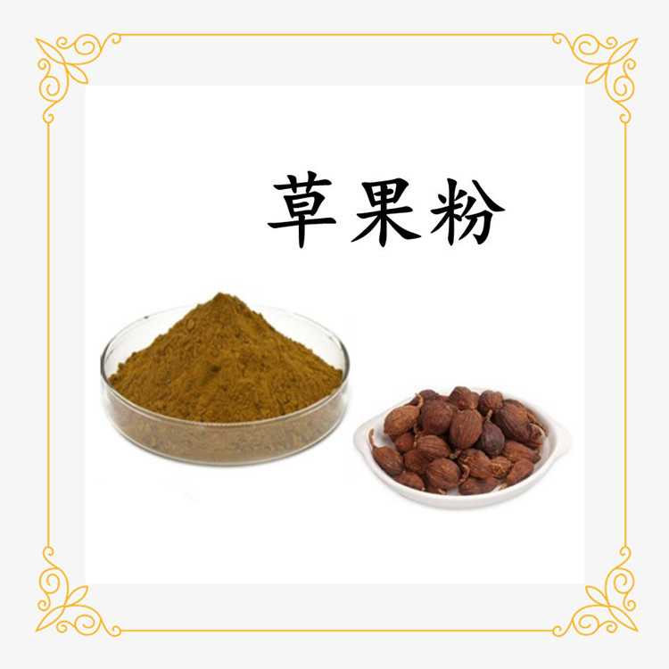 草果粉 粉末均匀 可定制 斯诺特生物 支持拿样