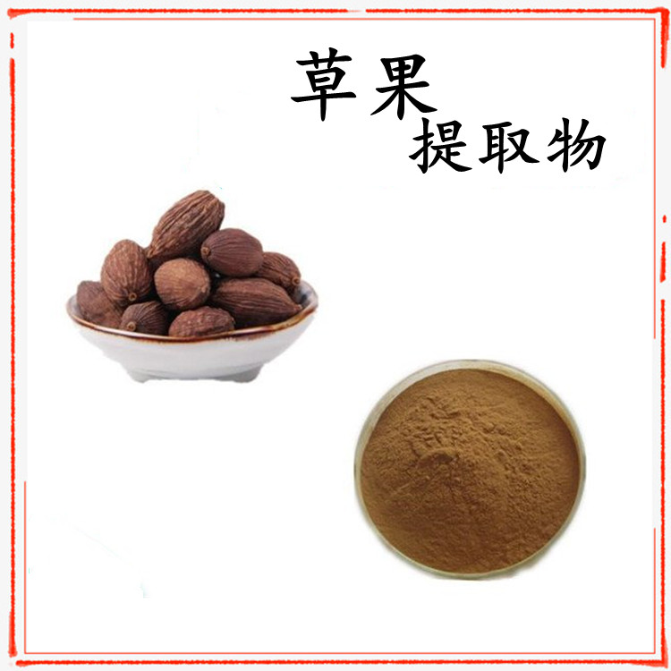 草果提取物 草果粉 比例浓缩萃取 多种规格 源头厂家