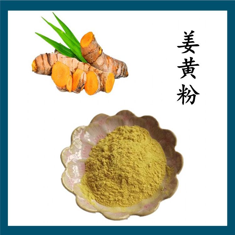 姜黄粉 粉末均匀 多种规格 品质优良 库存充足