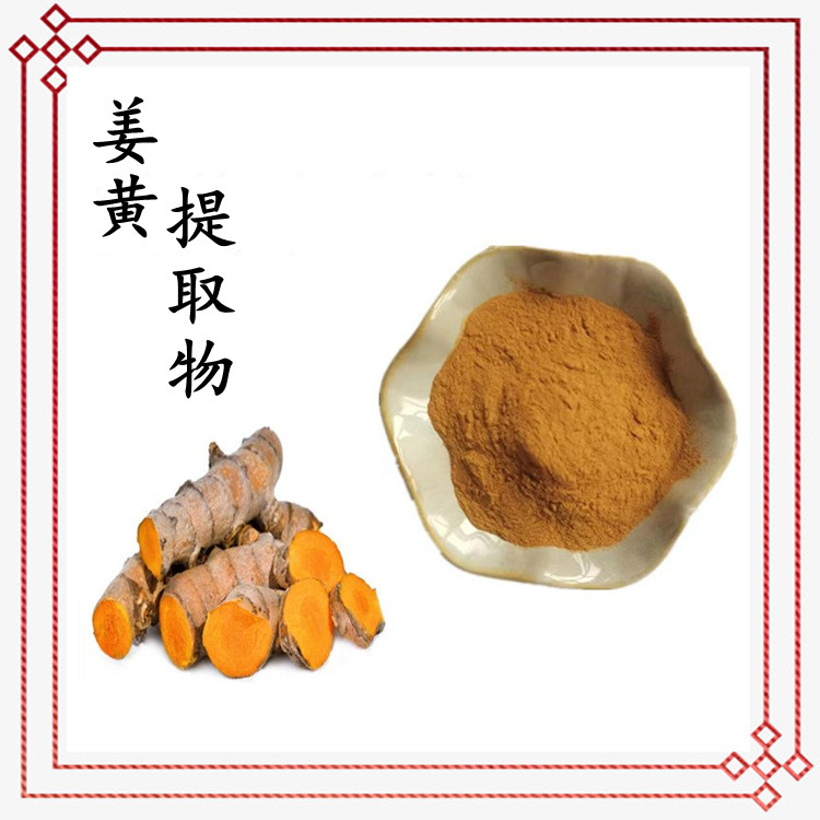 姜黄提取物 斯诺特生物 源头厂家 资质齐全 可定制