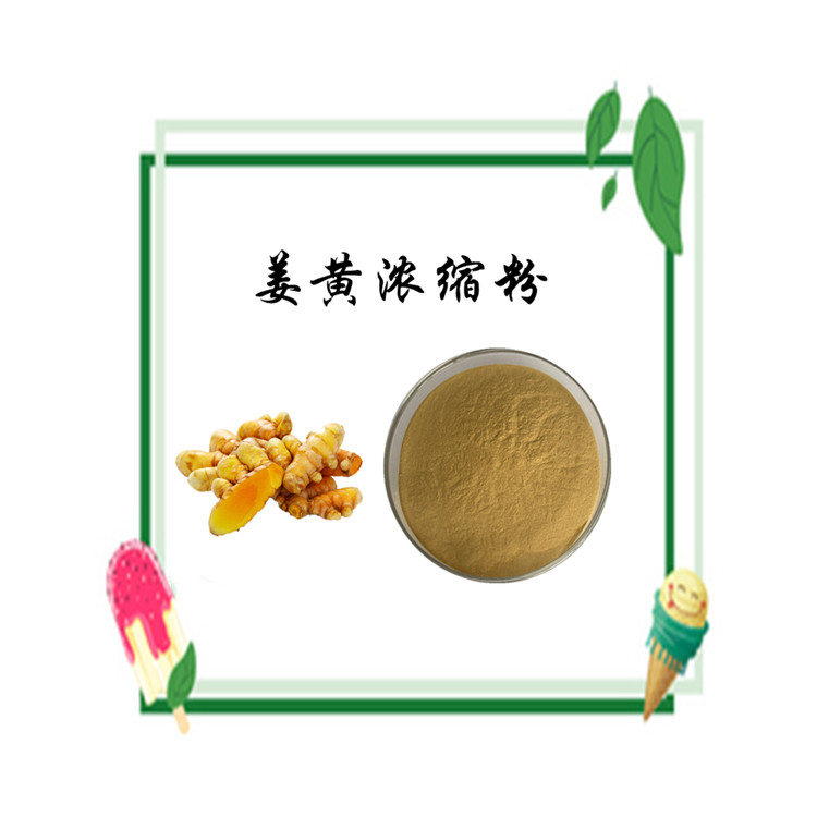 姜黄浓缩粉 规格多种 库存充足 含税含运 斯诺特生物