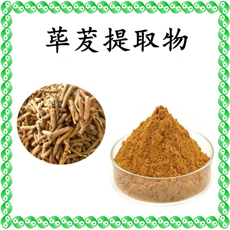 荜茇提取物 精选原料 粉末细腻 全水溶无结块 含税含运
