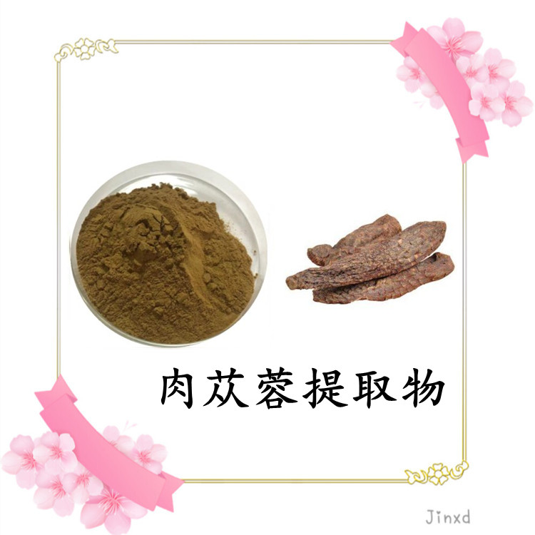 肉苁蓉提取物 粉末均匀 水溶性好 规格多种 品质优良