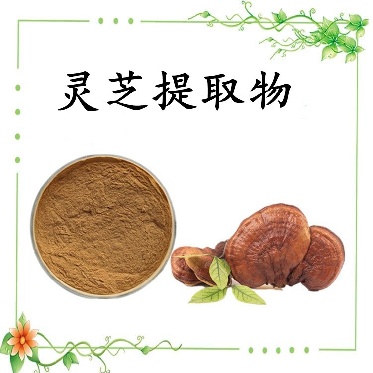 灵芝提取物 可按需定制  粉末均匀无杂质 不添加防腐剂