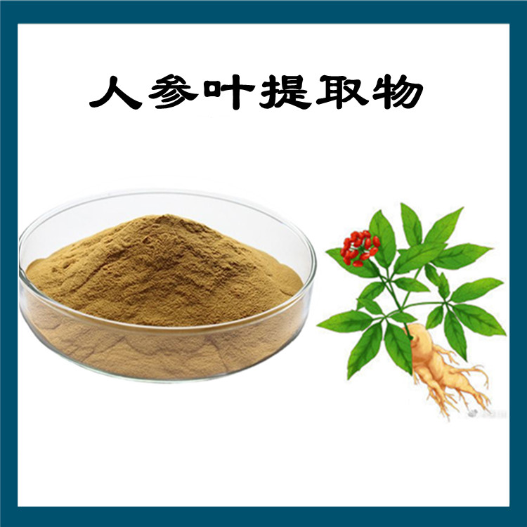 人参叶提取物 精选原料 品质优良 不添加任何防腐剂 包邮