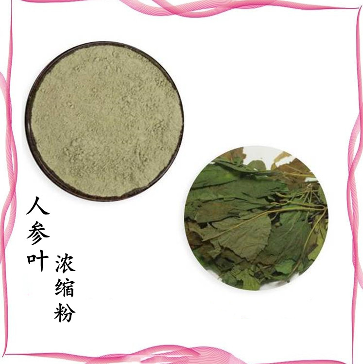 人参叶浓缩粉 喷雾干燥工艺 浓缩萃取 多种规格 库存充足