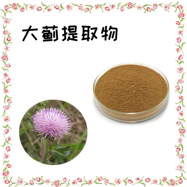 大蓟提取物 标准比例 品质优良库存充足 1公斤起订