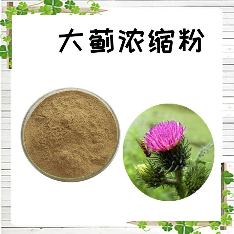 大蓟浓缩粉 精选原料 浓缩萃取 粉末细腻 长期供应 包邮