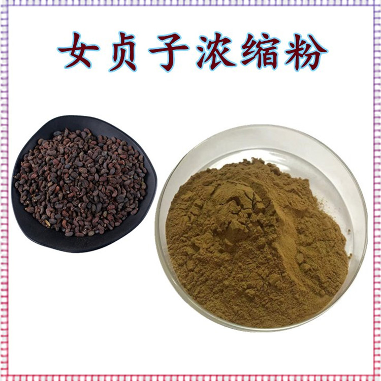 女贞子浓缩粉 粉末流动性好 资质齐全 源头工厂