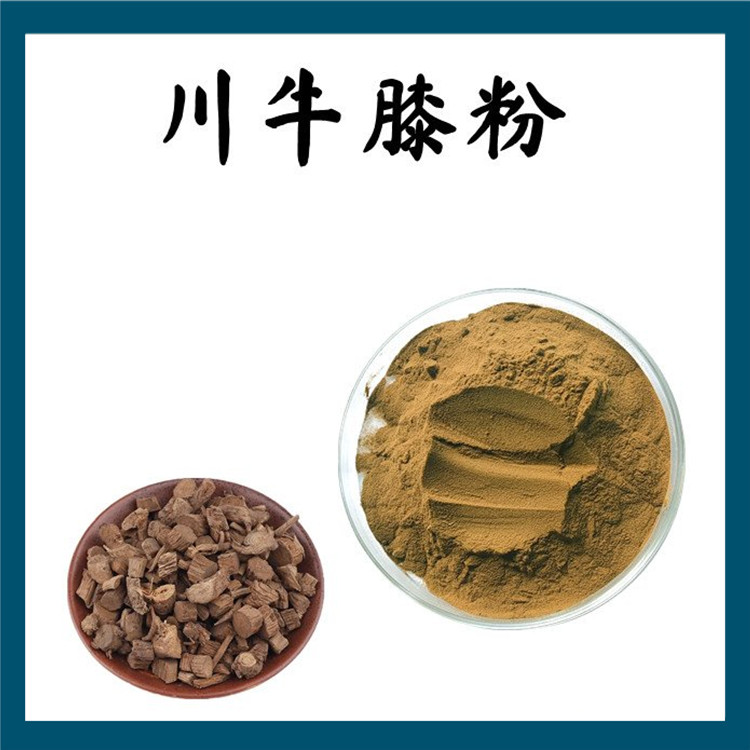 川牛膝粉 精选原料 不添加任何防腐剂 库存充足 支持拿样