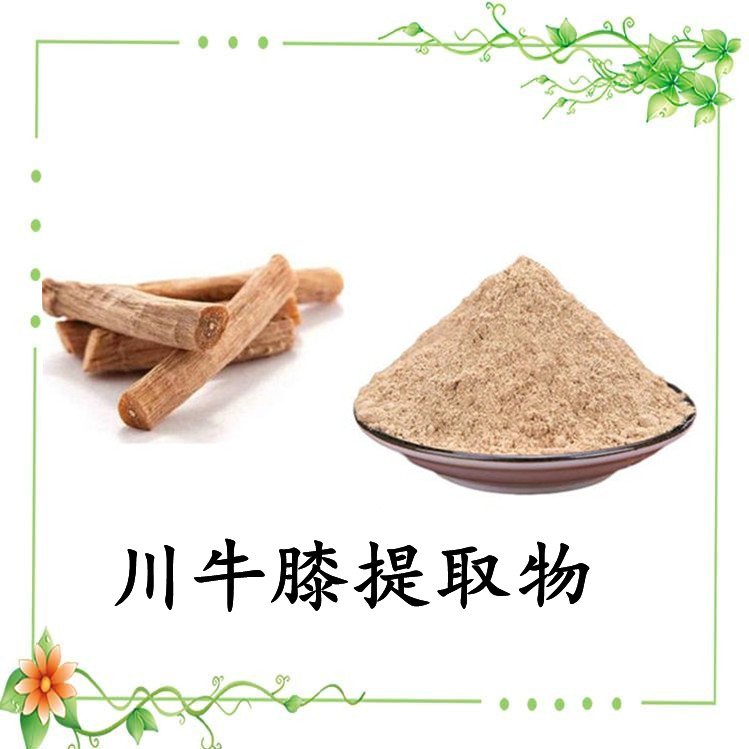 川牛膝提取物 水溶性好 川牛膝浓缩粉 源头厂家 资质齐全