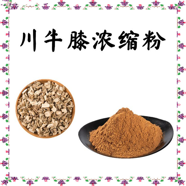 川牛膝浓缩粉 源头供应 全水溶无结块 纸板桶包装 含税含运