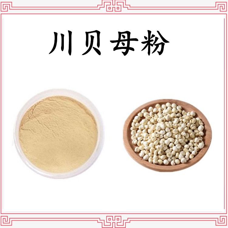 斯诺特生物 川贝母粉 精选原料过筛100目  库存充足