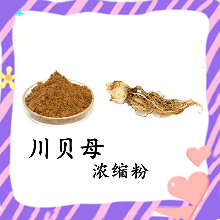 川贝母浓缩粉 植物萃取 规格齐全 支持拿样 可定制