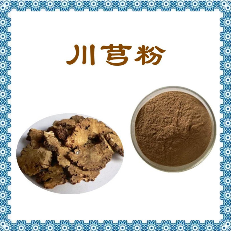 川芎粉 多种规格 品质优良 库存充足 源头厂家