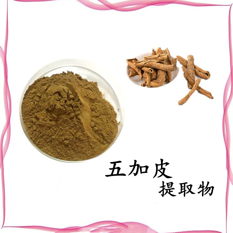 五加皮提取物 棕黄色粉末 水溶性好 纸板桶包装