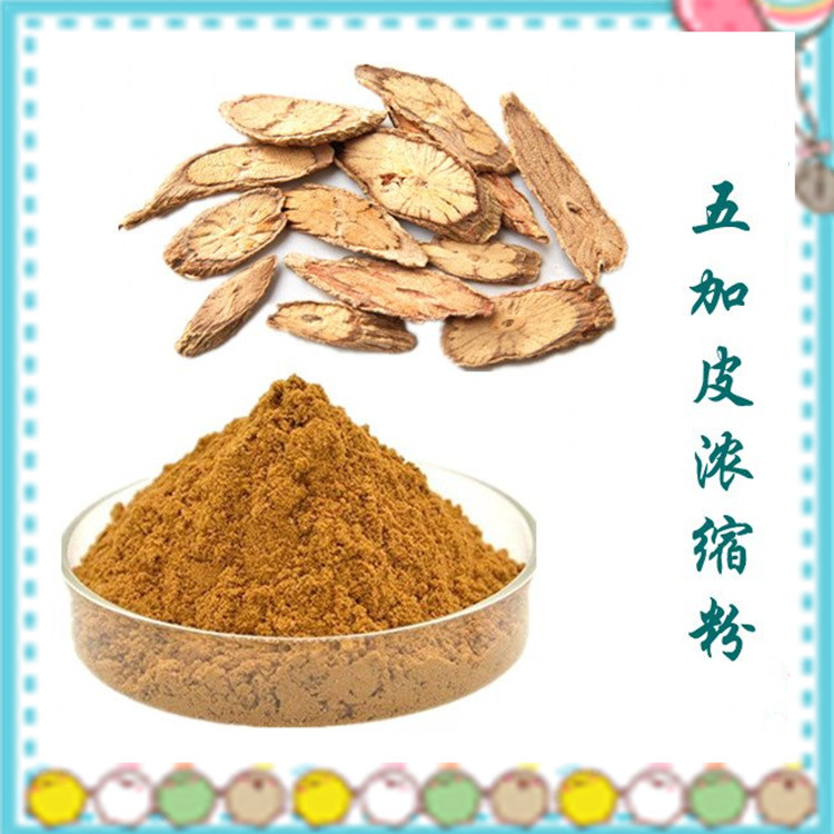 五加皮浓缩粉 斯诺特生物 植提厂家  长期供应 含税含运