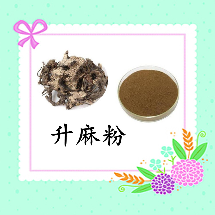 升麻粉 斯诺特生物 源头厂家 可定制 库存充足