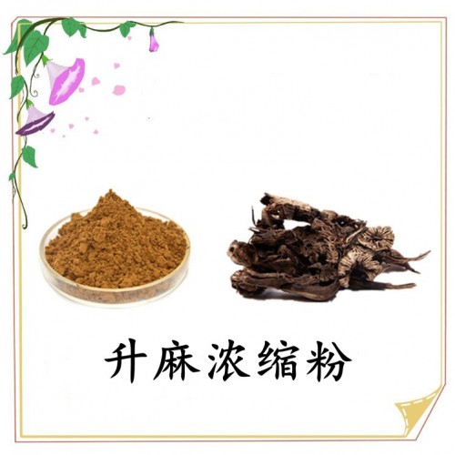 升麻浓缩粉 喷雾干燥工艺 浓缩粉末 多种规格 可定制