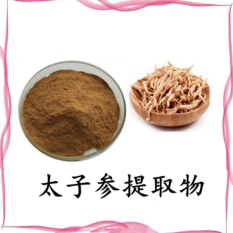太子参提取物 太子参粉水溶性好  规格多种 库存充足