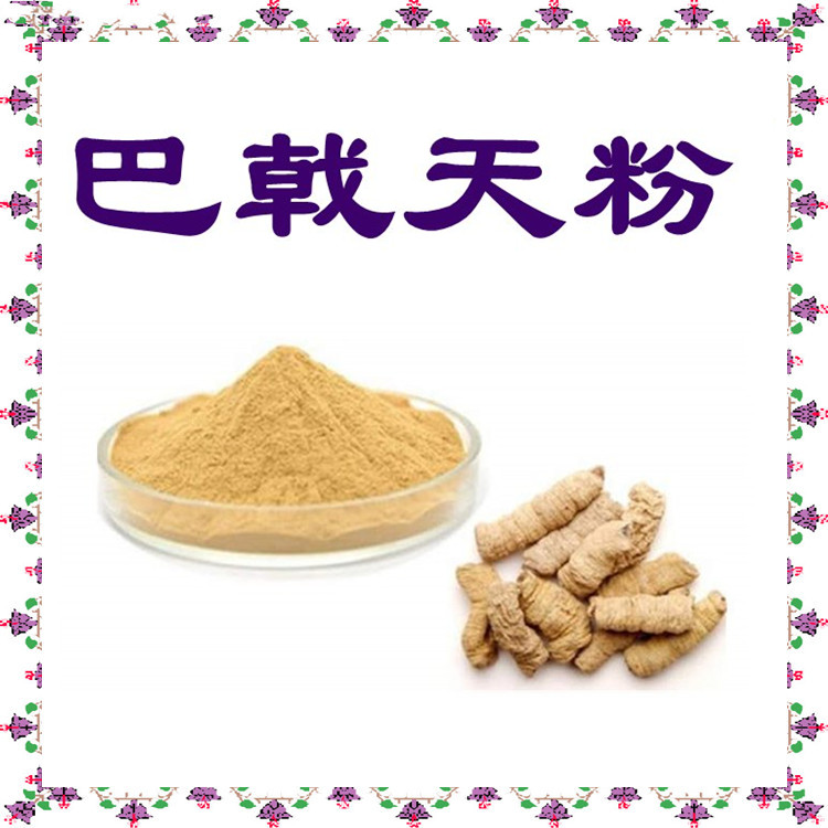 巴戟天粉 植物萃取  水提工艺 中药片剂原料 包邮