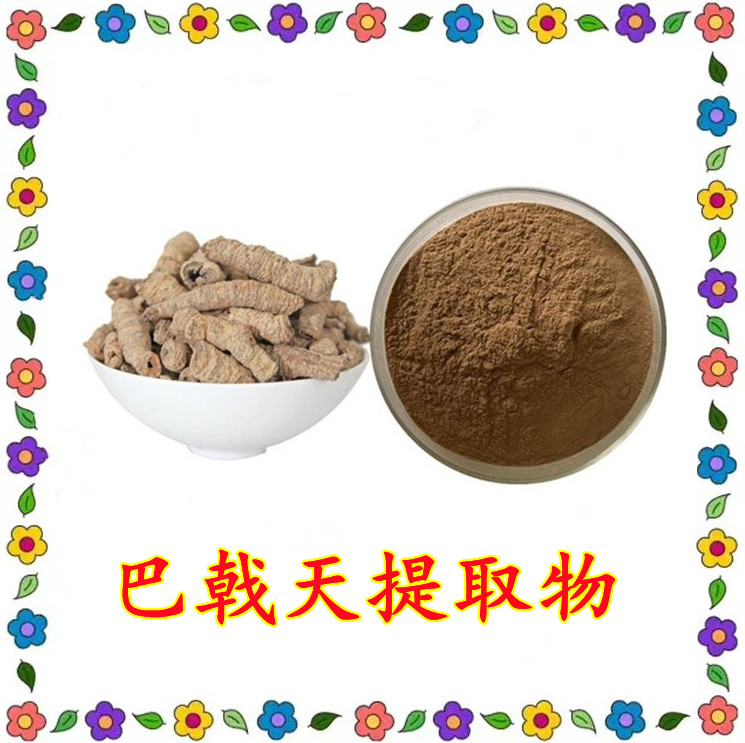 巴戟提取物 水溶粉末 80目筛 规格齐全 斯诺特生物