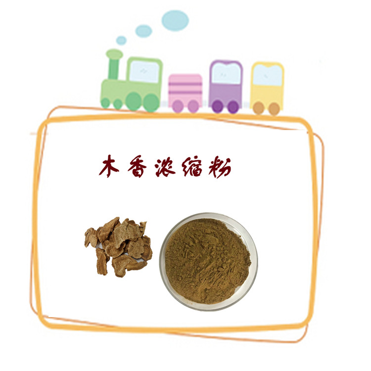 木香浓缩粉 斯诺特生物  10余年生产经验 品质稳定