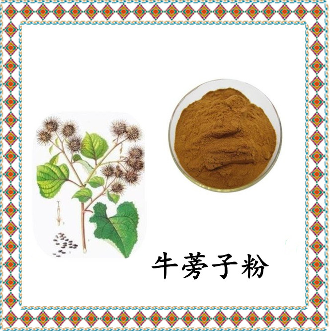 牛蒡子粉 斯诺特生物 源头厂家 多种规格 可定制