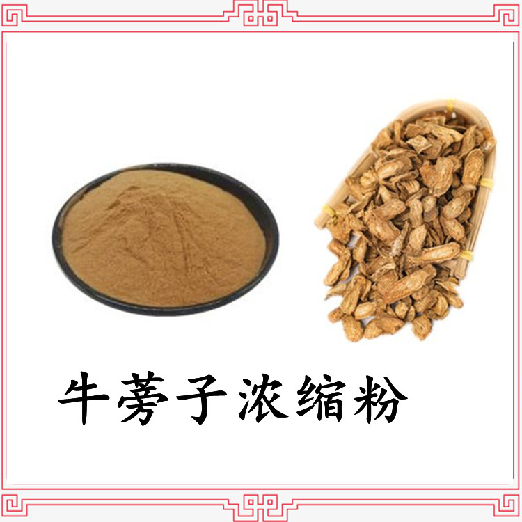 牛蒡子浓缩粉 斯诺特可定制  长期供应 库存充足