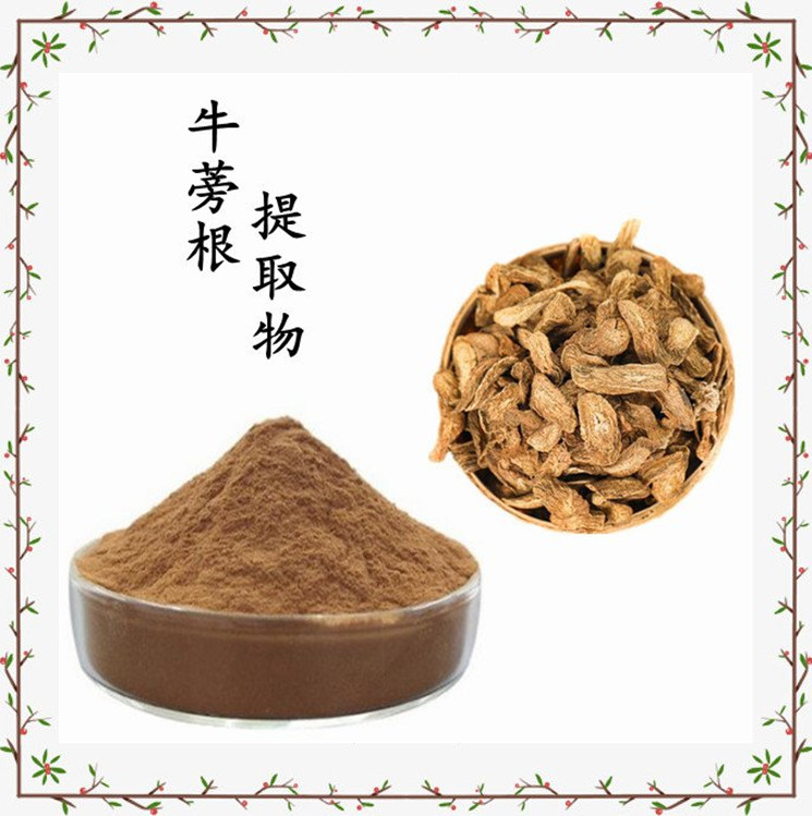 牛蒡根提取物 斯诺特生物源头供应 资质齐全 可定制