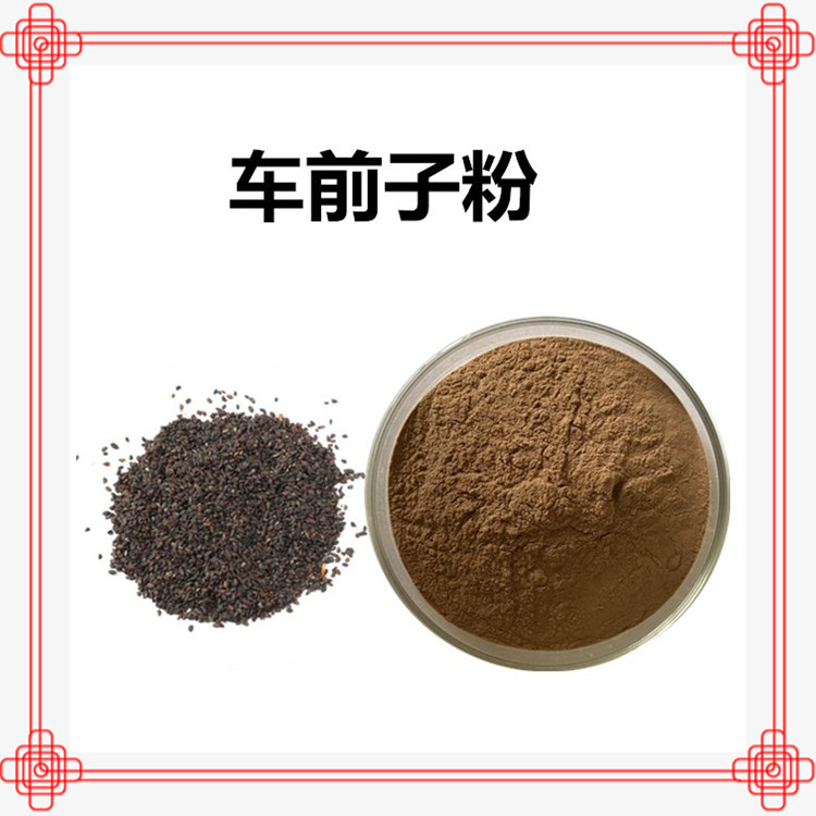 车前子粉 固体饮料代餐粉原料 1kg起订 可定制