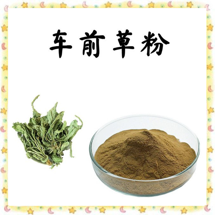 车前子草粉 1kg起订 植物浓缩萃取工艺 化妆品原料