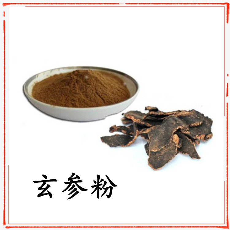 玄参粉 斯诺特生物 源头供应 库存充足 支持拿样